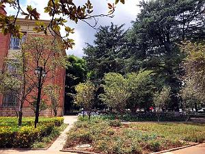 Kunming - Universite du Yunnan (51)